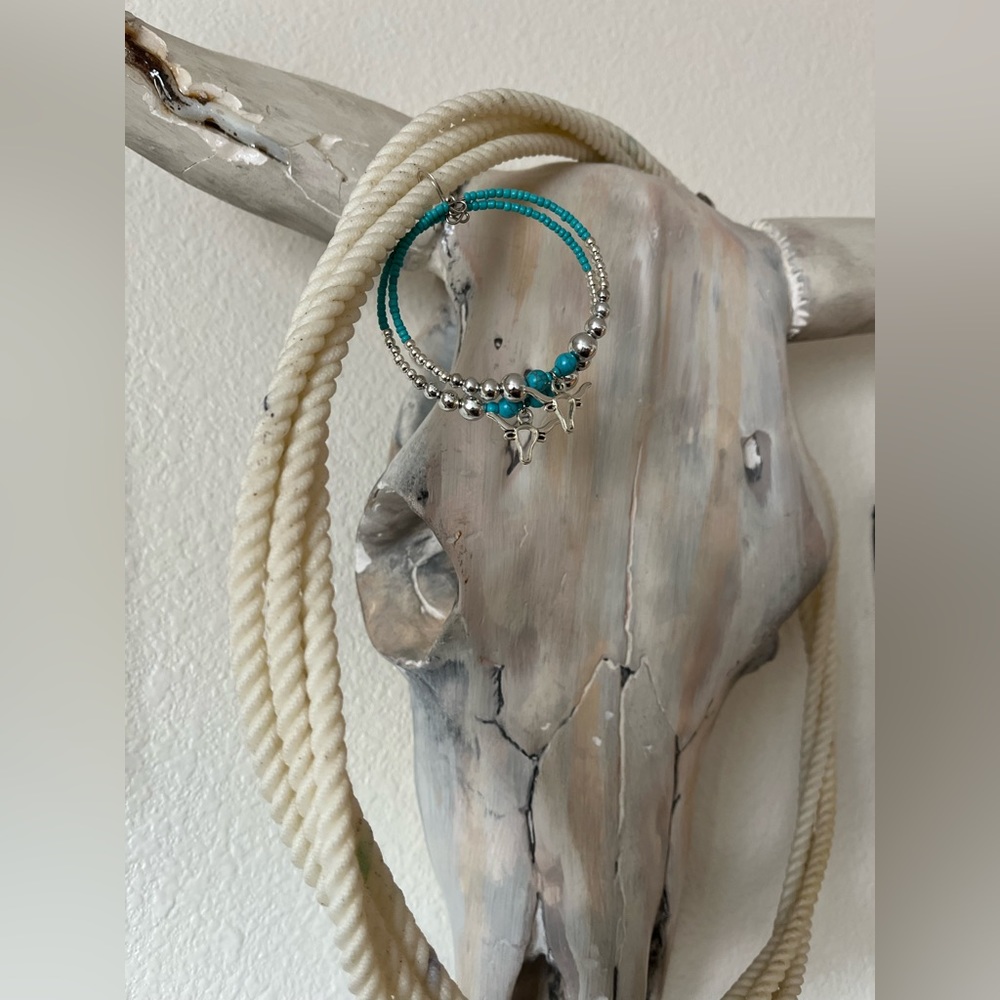 Steer Me In Circles, Teal